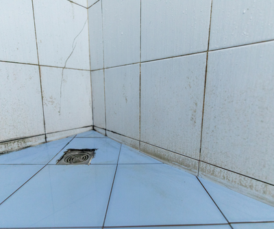 How do you get black mold out of shower grout?